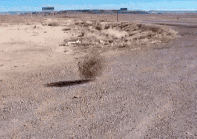 36e862af-e7ec-4d2c-ae33-0dc9835a1612