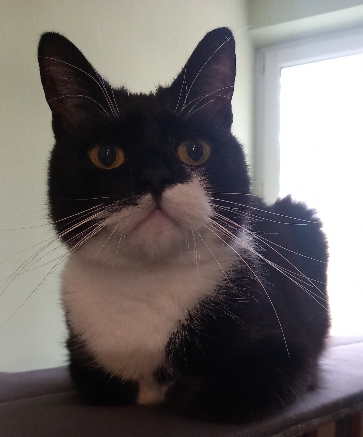 f27b0a1a-57a2-47d1-8350-c8e2b1e16446