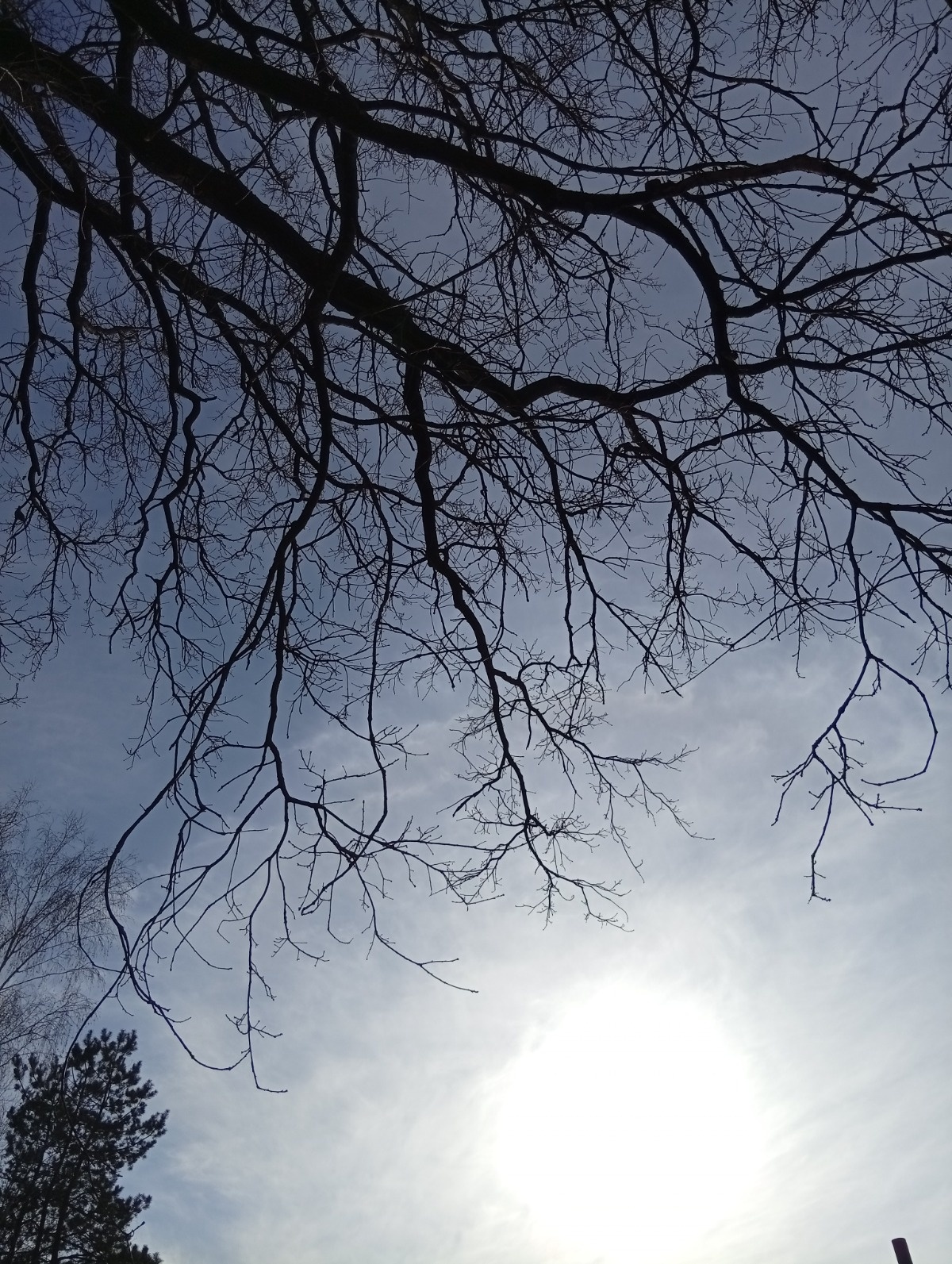 3ca8e570-9877-4d01-b635-0faa786c92f7