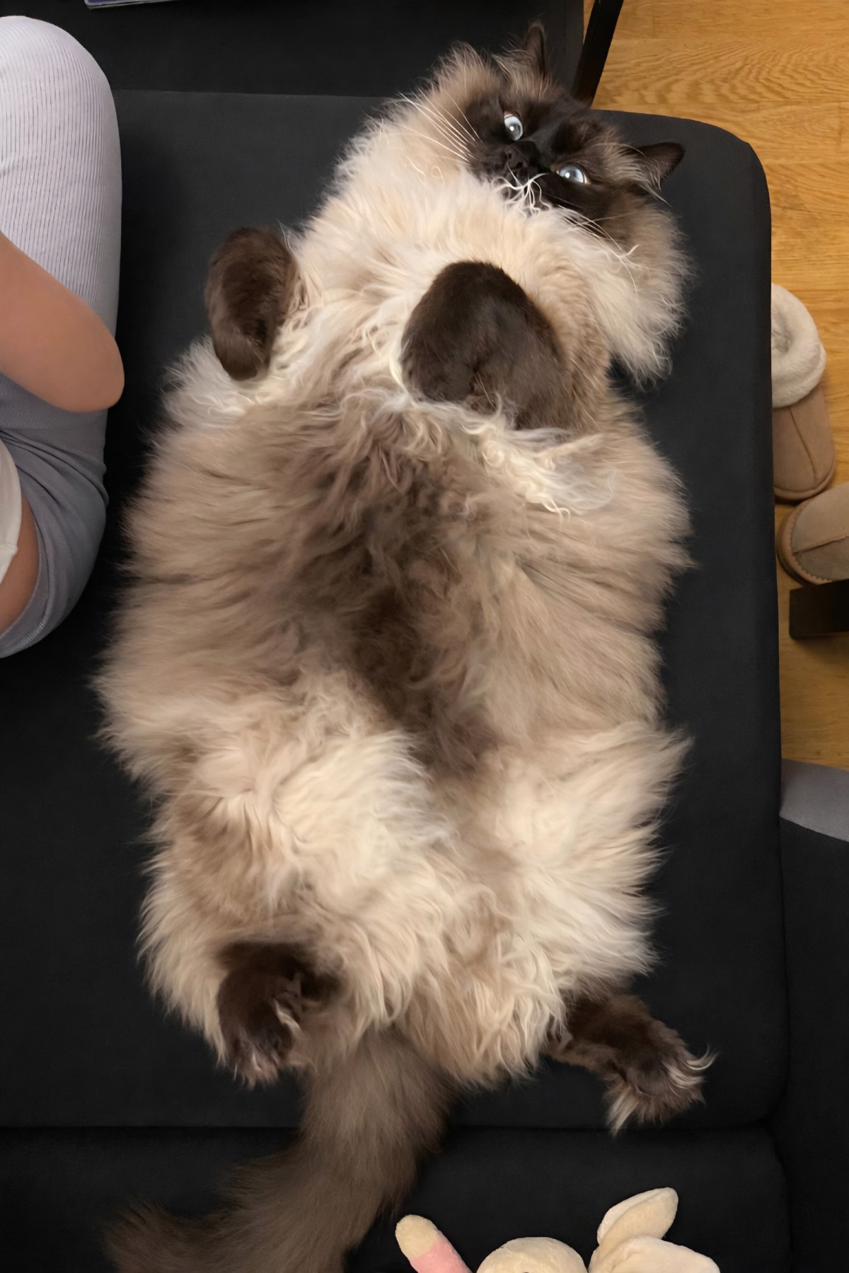 4b98479f-b845-4cc2-b0f8-ed6309ab66f1