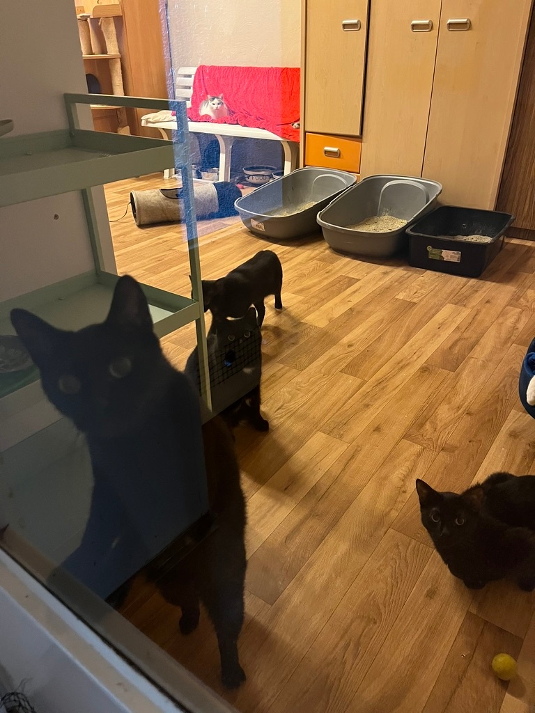 7b71b649-68be-49cd-bb4a-afc95323ea03