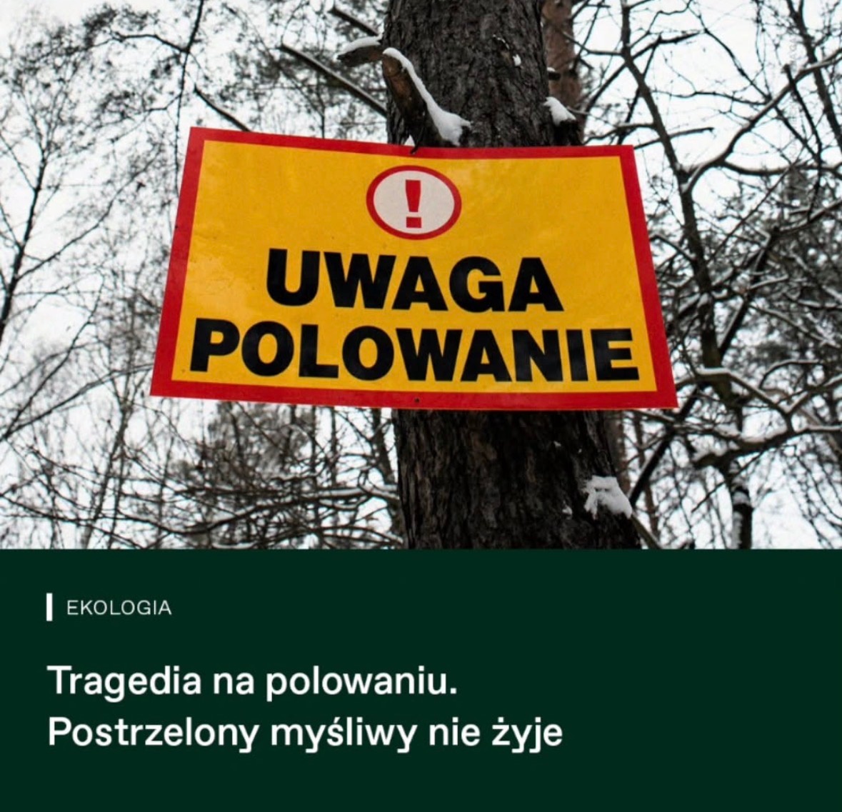 e47a772c-b79d-45c5-a556-50e914a7493b