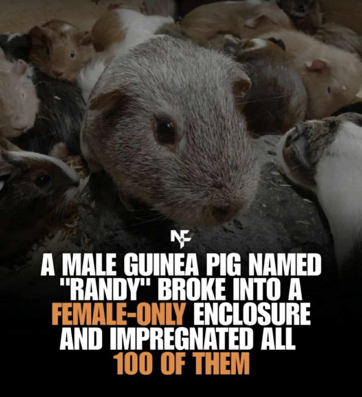 9e4964e4-eaf5-4bdb-92a3-e7beb46435de