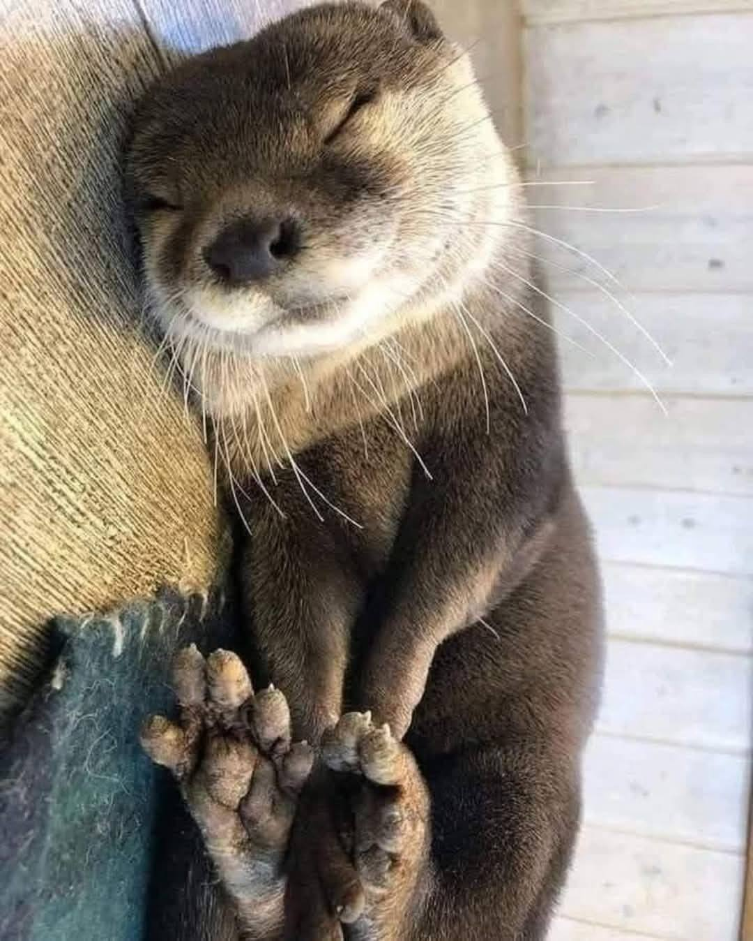 c2538fdc-50b4-4de9-ba6e-e2ea8cdb1418