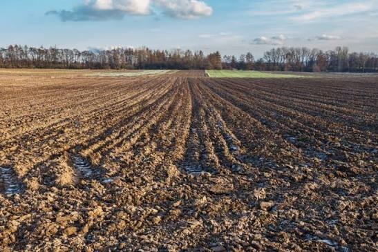 bf8987c1-9694-4697-8f36-c278b2af0cbf