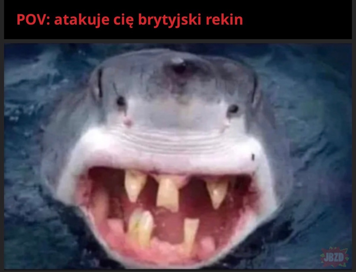 58acd577-1be9-4281-a70b-5a8c42718e53