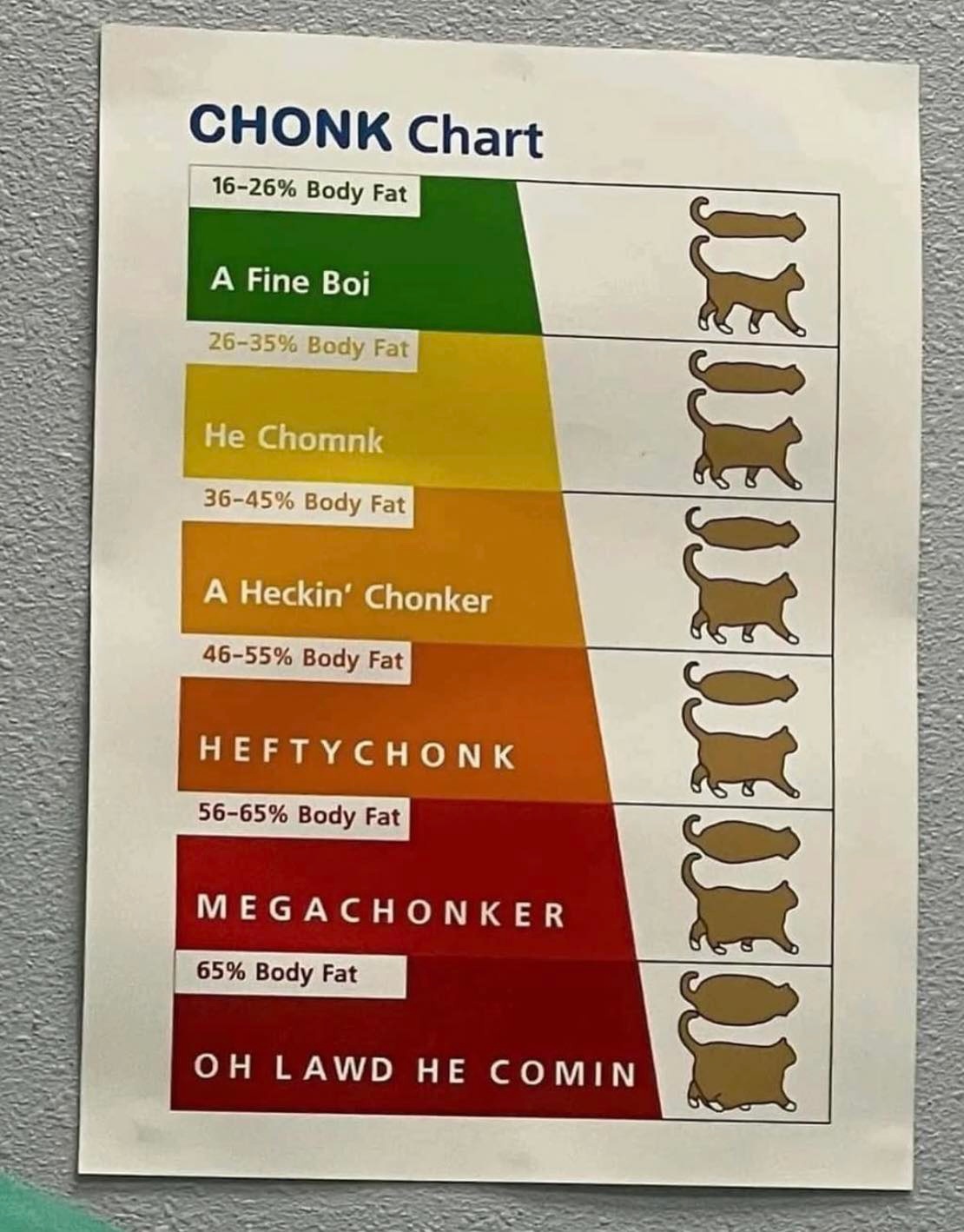 36bd14f4-5d43-4a38-9e61-3f90ccaacddc