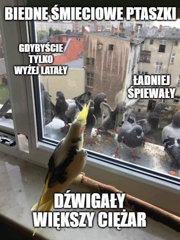 45a34152-112c-49c8-a86f-09852d03b588