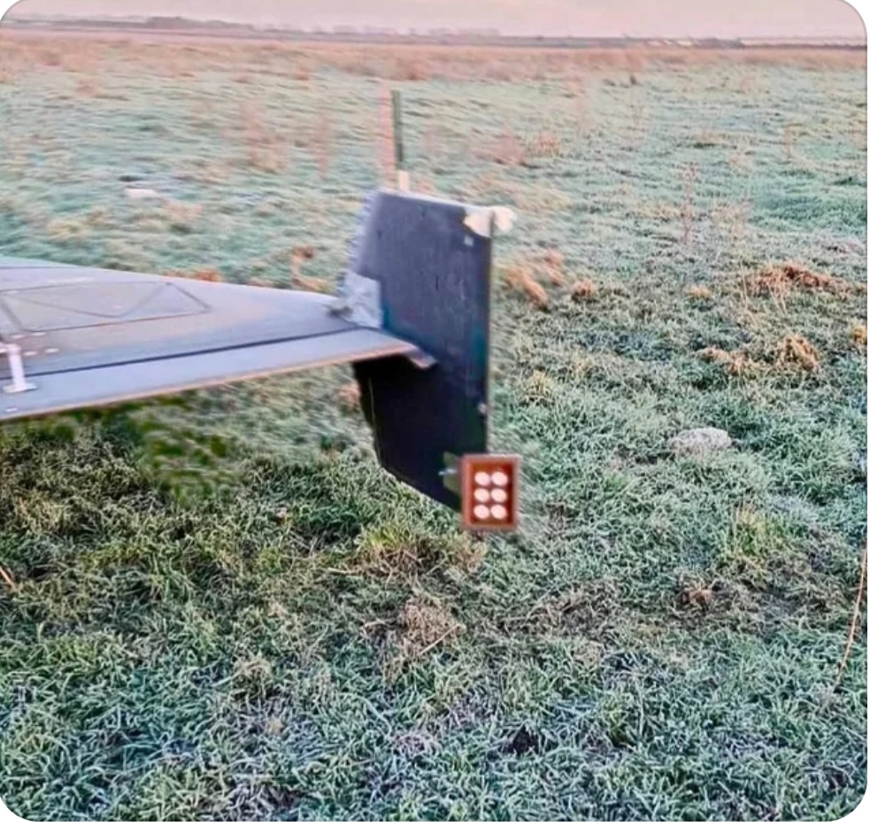 2ee59b4c-5d09-4cfe-a6d2-c2389ed42003