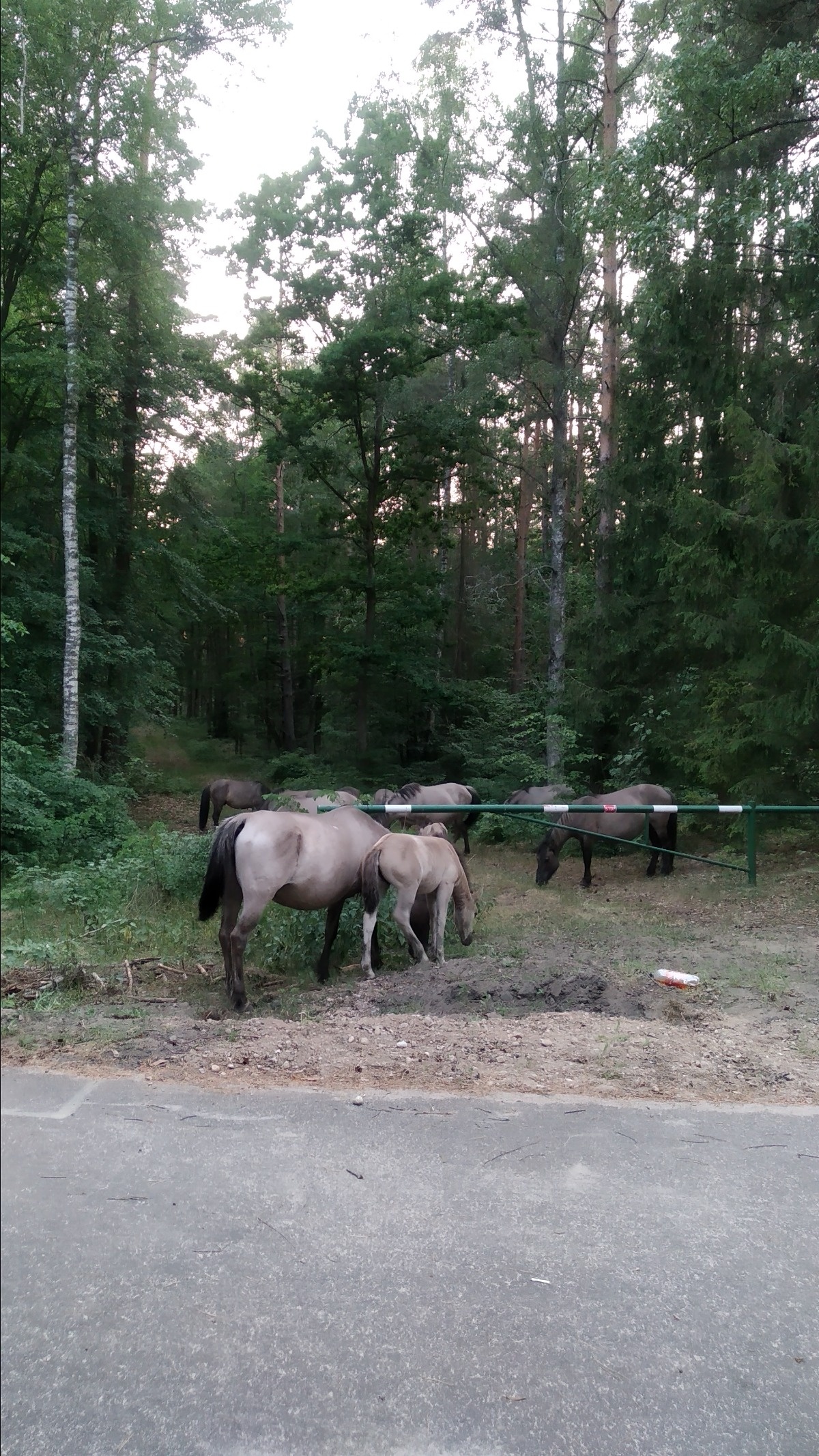 133048d3-c989-42e5-90fc-bccffa96d983