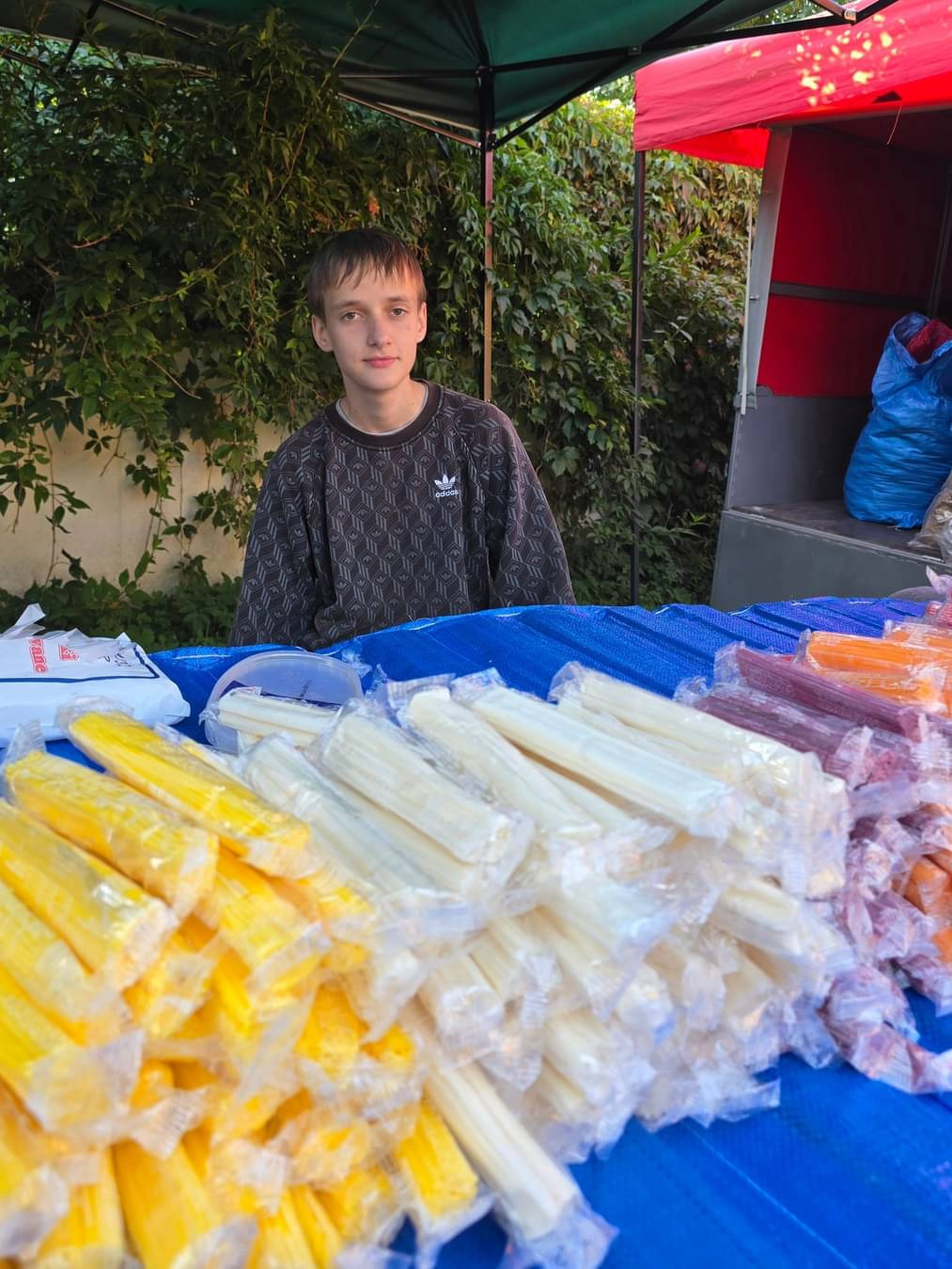 2e43fc7a-8c8c-4e9d-aa94-a0cd04d254d9