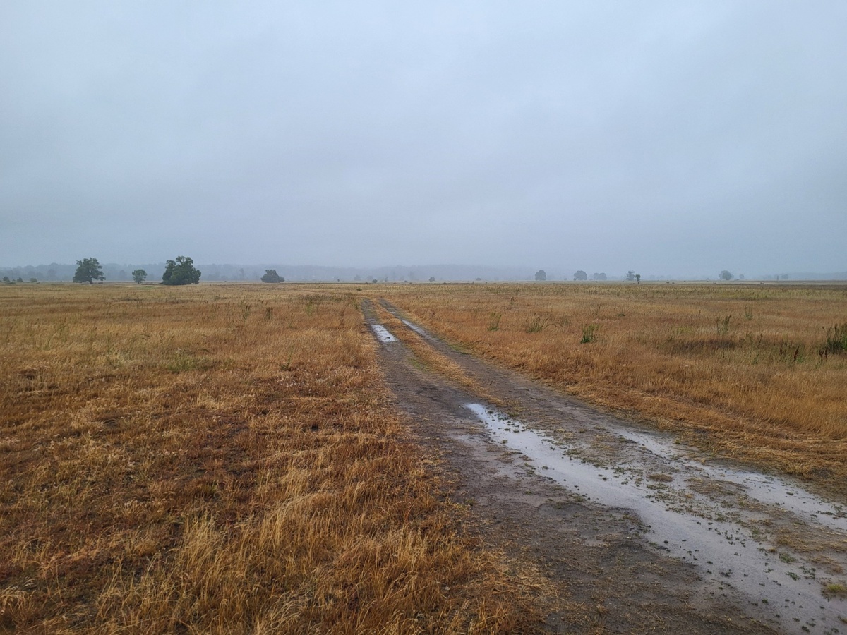 8280ff43-7f3a-45eb-8262-078eac1f9515