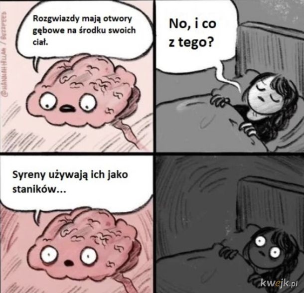 1953638a-8885-4dee-9f4f-234934bfa42f