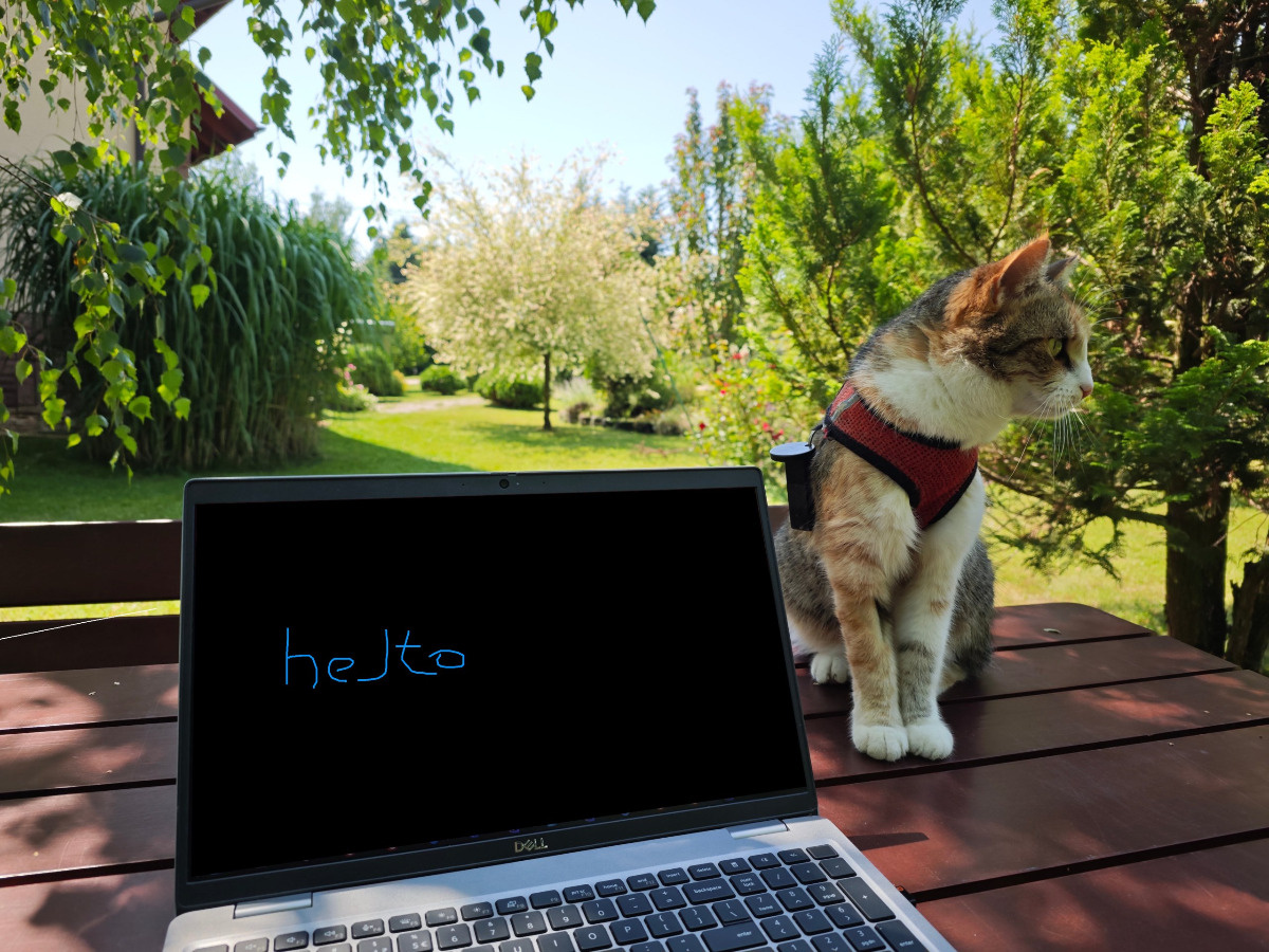 d56639dc-84a9-487d-a758-8597cf20b7fc