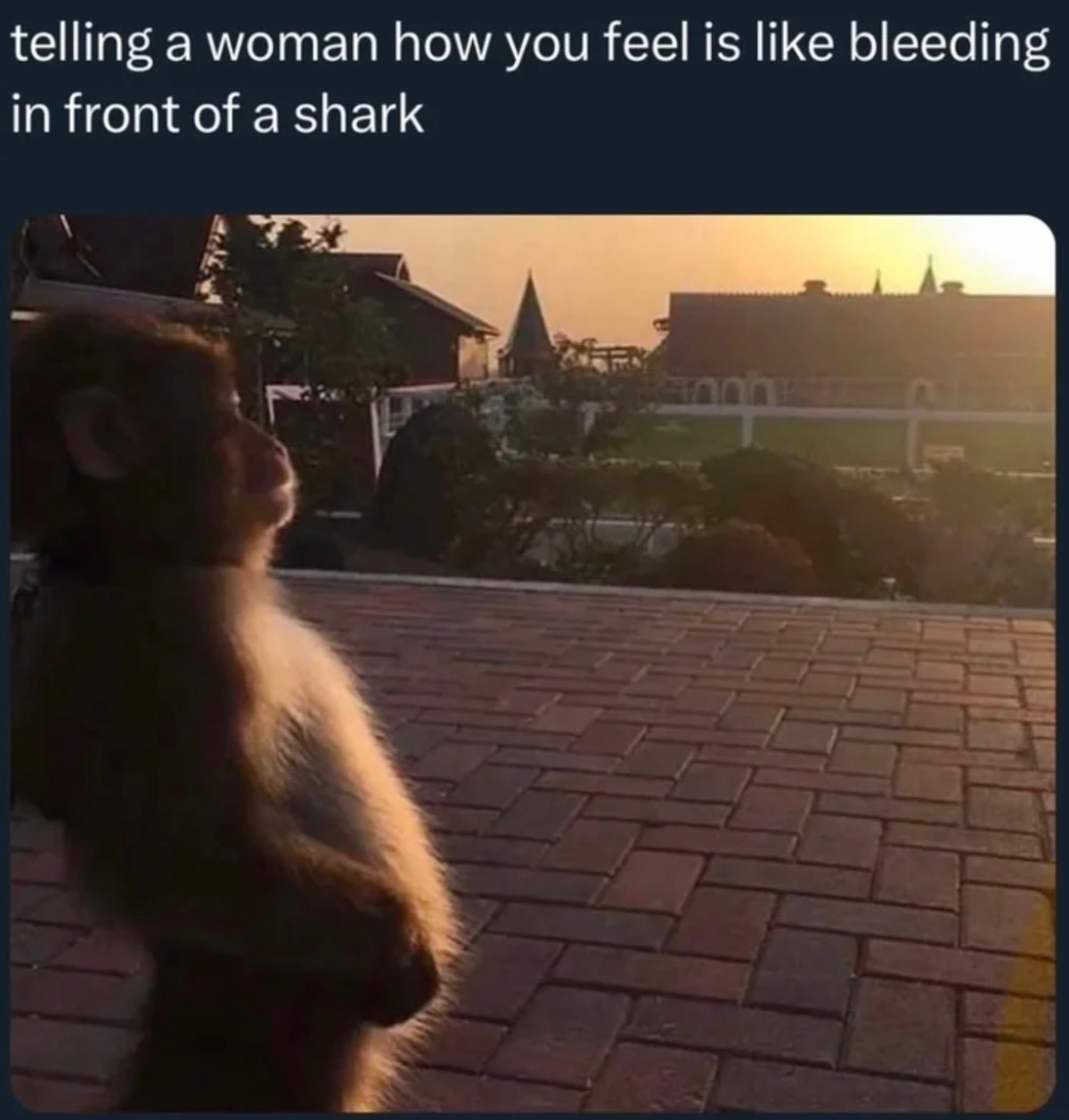 16f51c5b-55c3-4d72-9a07-82bc4f3a9c70