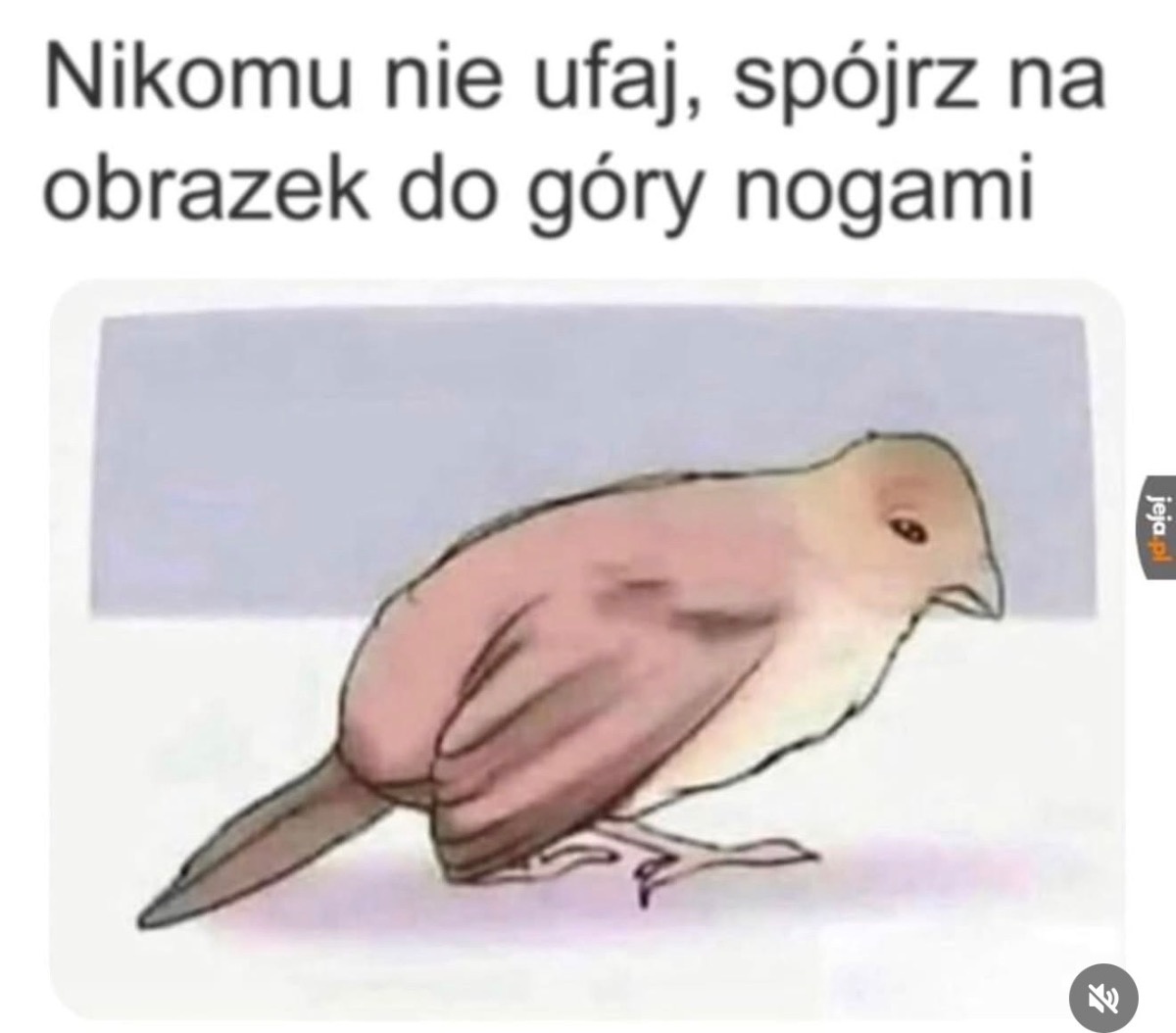 f344e60c-0ff9-495f-a0ca-ede973e9404d