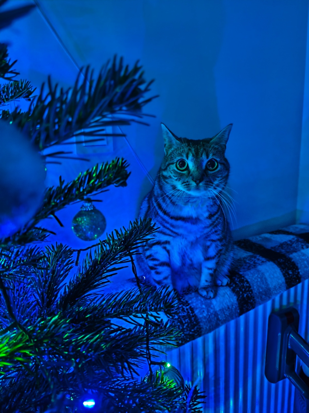 7bd96ce7-9ee4-4255-9303-3a0594e89aa4