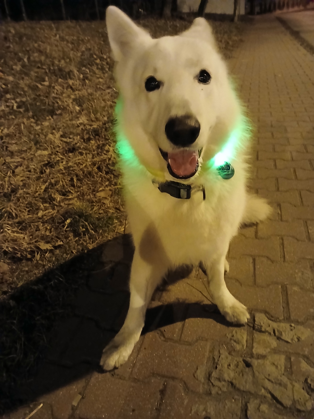 d3b3f437-b066-4623-975f-2b389dffbb60