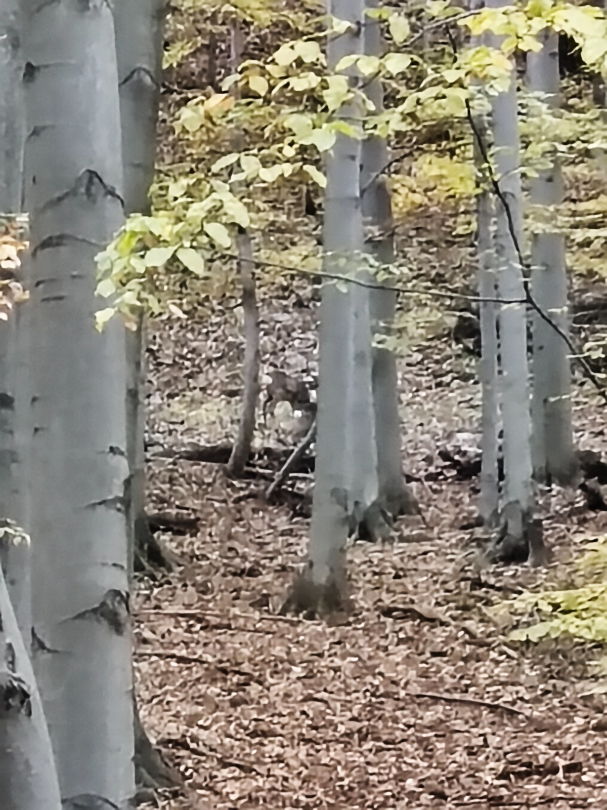 3ff28766-c7bd-4538-b7bf-1531dac0a720