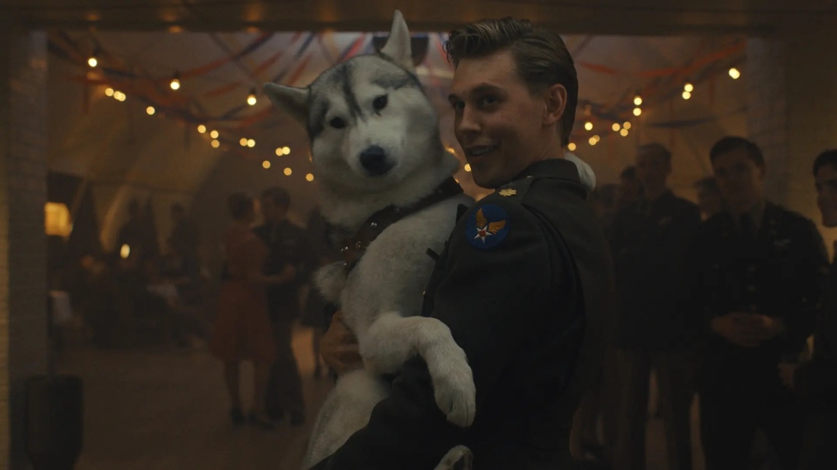 Seriale z psimi bohaterami