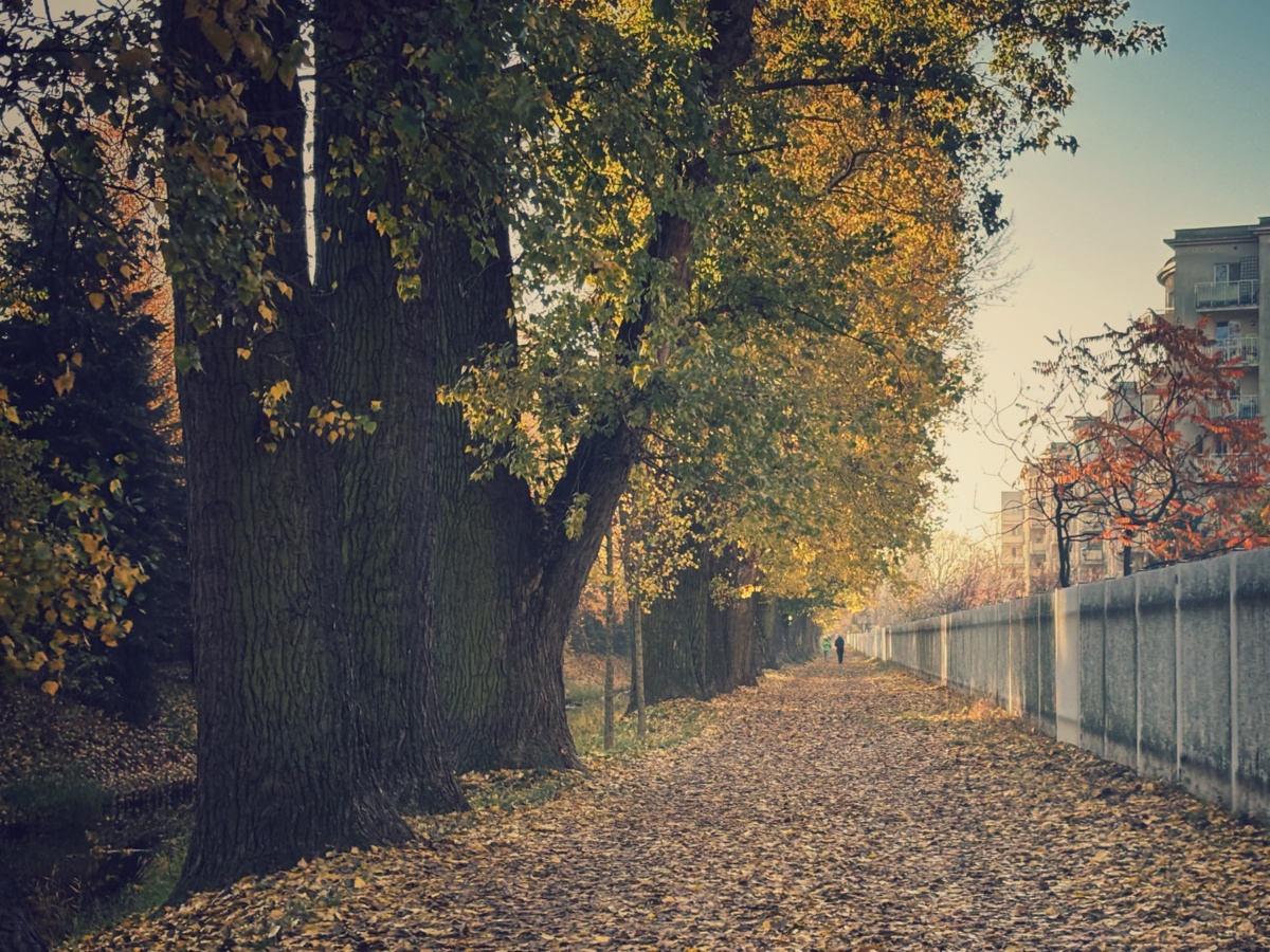 2620b8cf-a64a-483d-8a03-d8fca21450c6