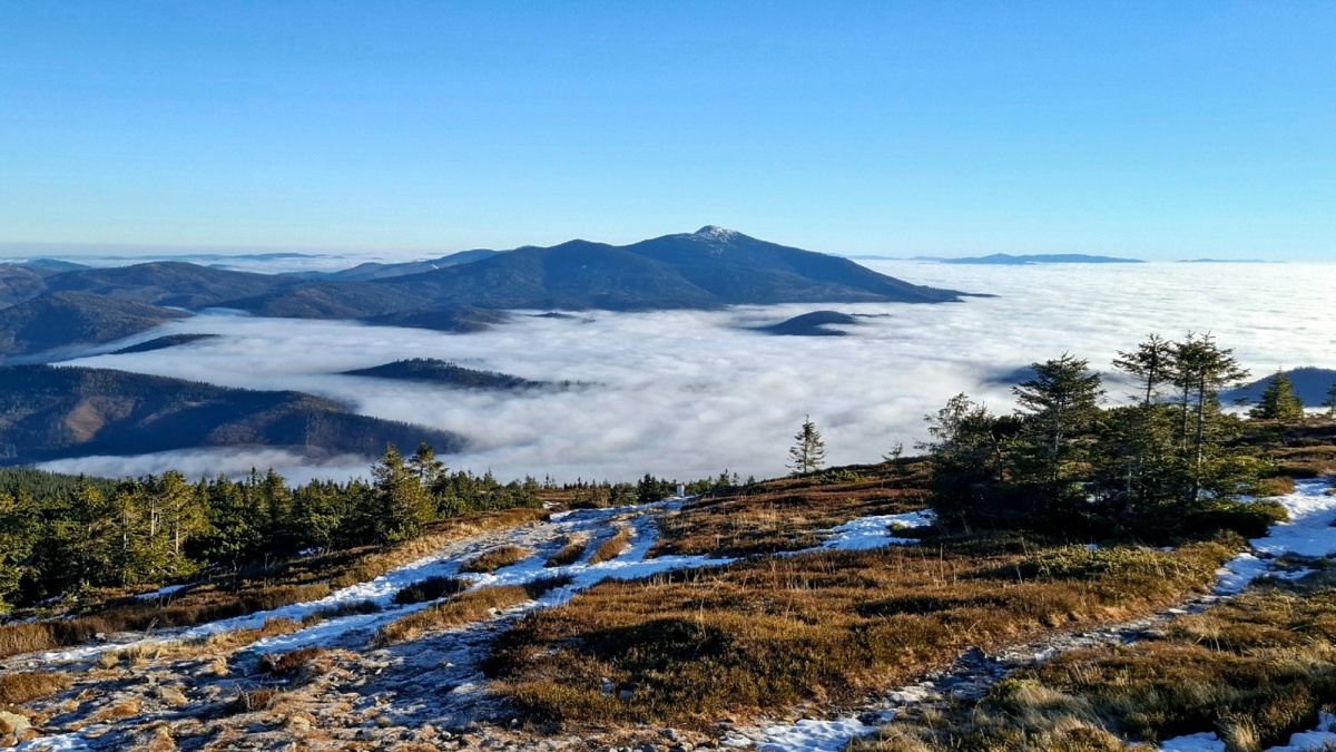 bc204c87-7b3c-45a2-a50e-5016ec7c611d