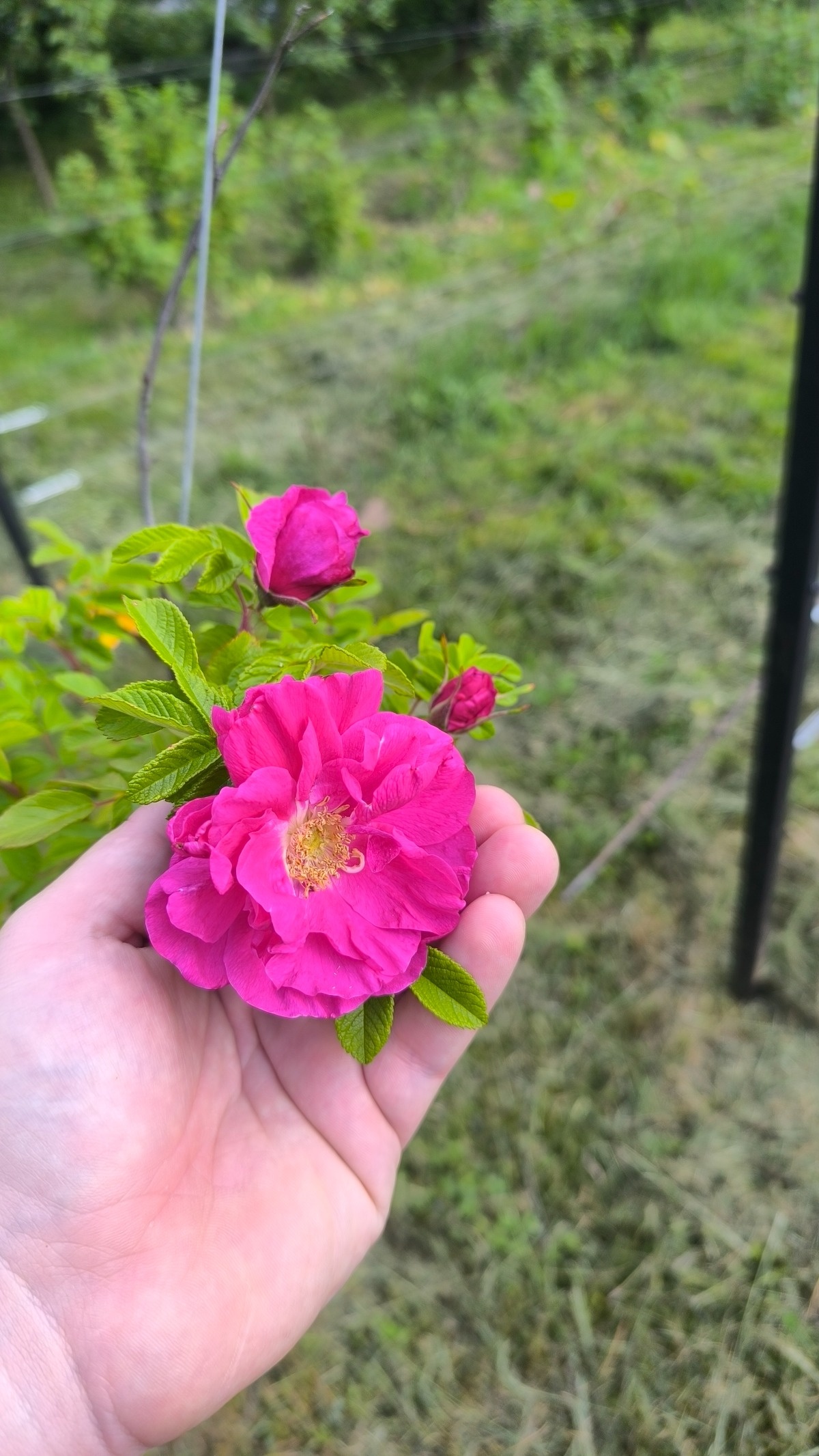 478a13db-802f-4bfa-a029-c162f9ccb33e