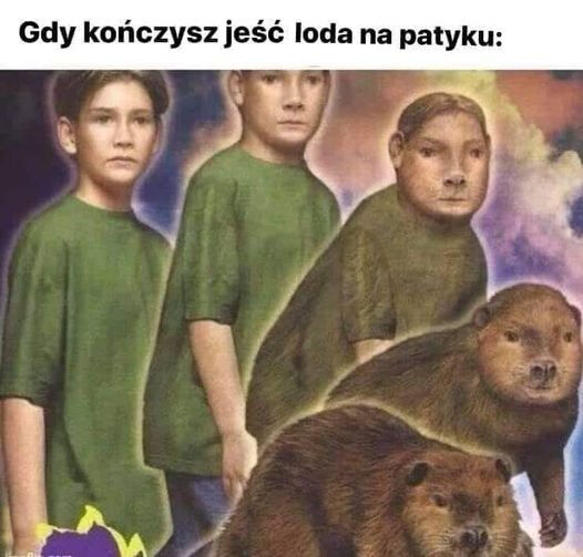 3c0e4ef7-295a-4738-8b4b-770858d39bab