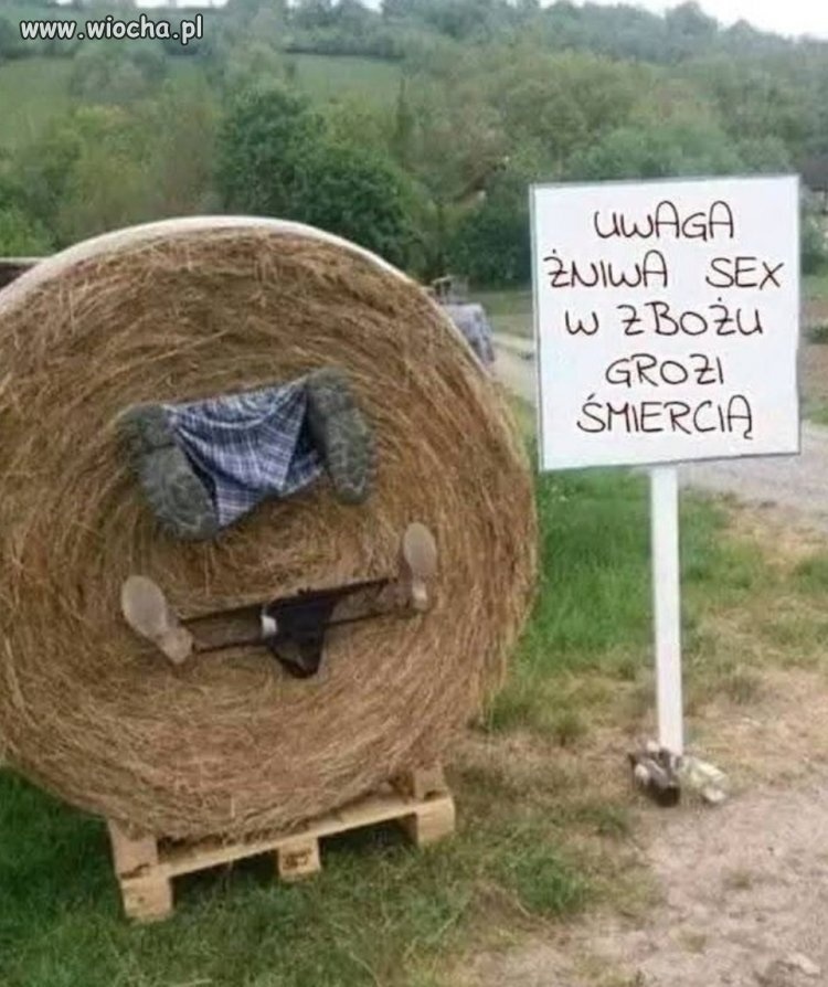 59ff4e17-6c03-464e-88a1-9c6f86479047