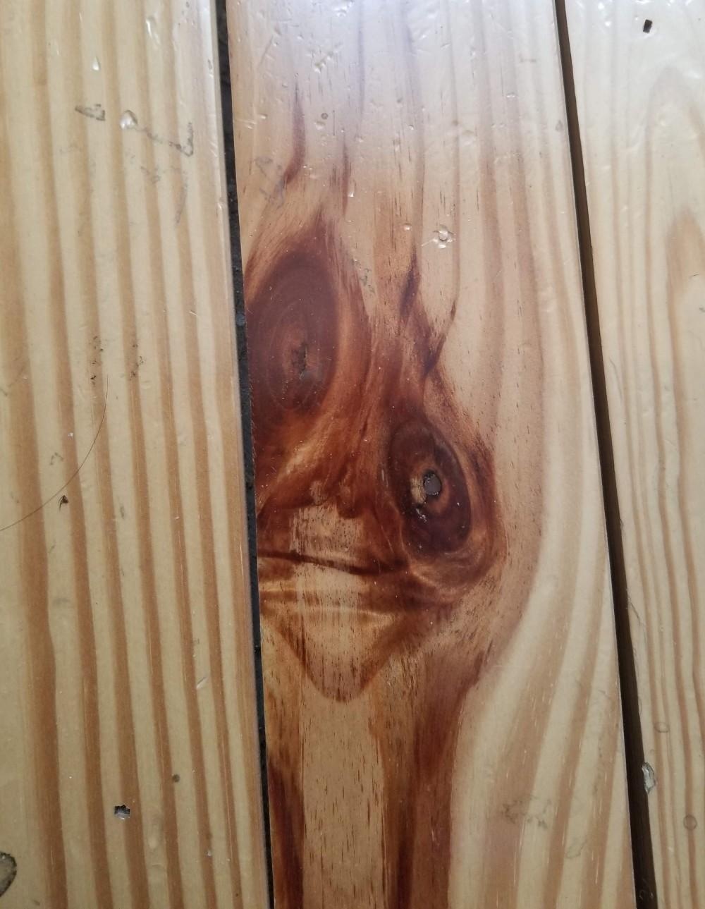 2347dfa7-5564-44c2-b52a-f5a674794d6a