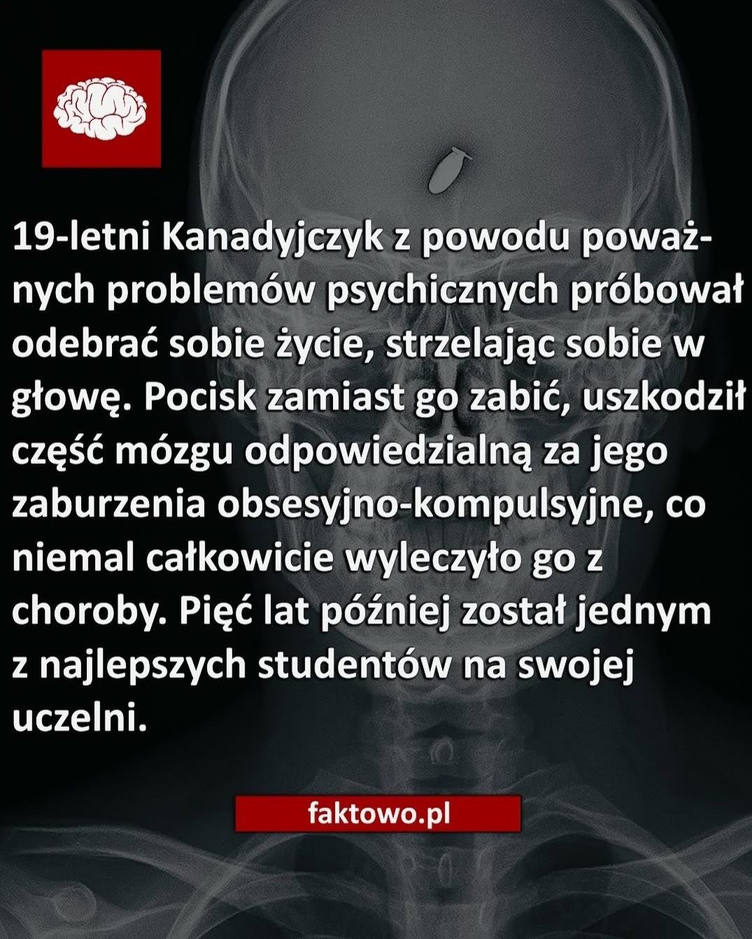 53dad976-eb8b-4a3a-92d6-f6c370d1b5cf