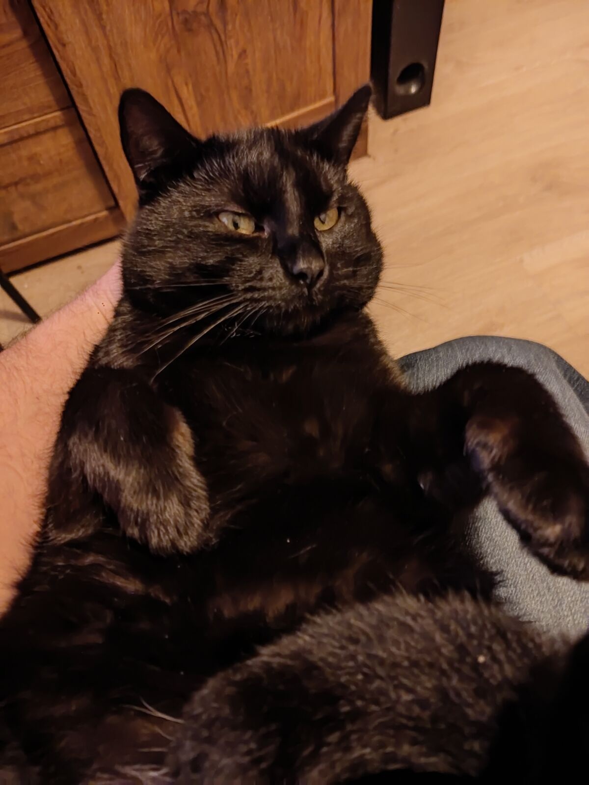 8df9c290-c96e-45cc-8392-18f167a21eb7