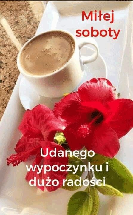 90280871-e49e-4797-b785-5bd78f7e9915