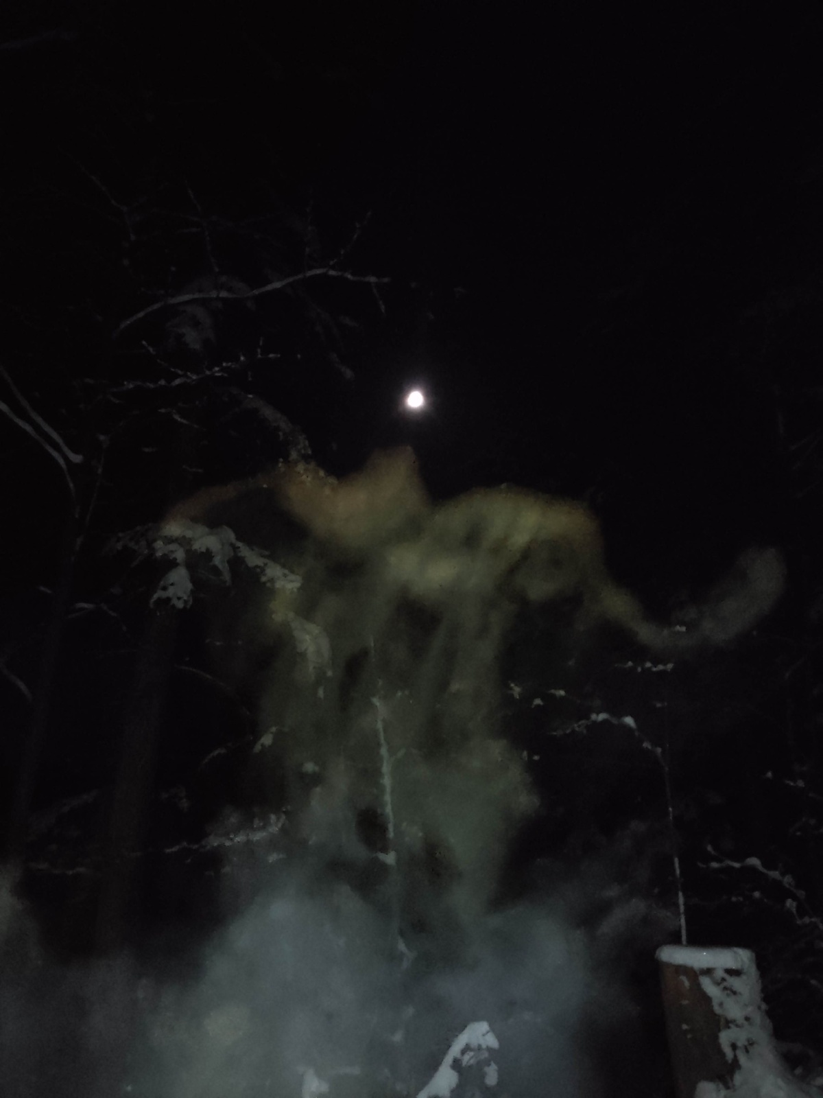 553f373d-5e53-4177-a75a-ca76a5a8a174