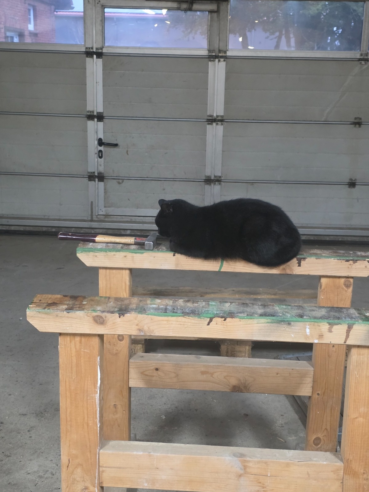 83d7c498-8c8e-4c46-96a3-27fd208d521d