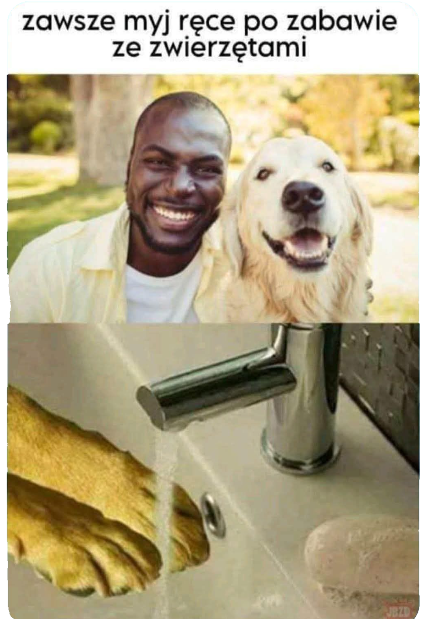 1c20dcfd-3c24-456f-8081-2a208bfcce99