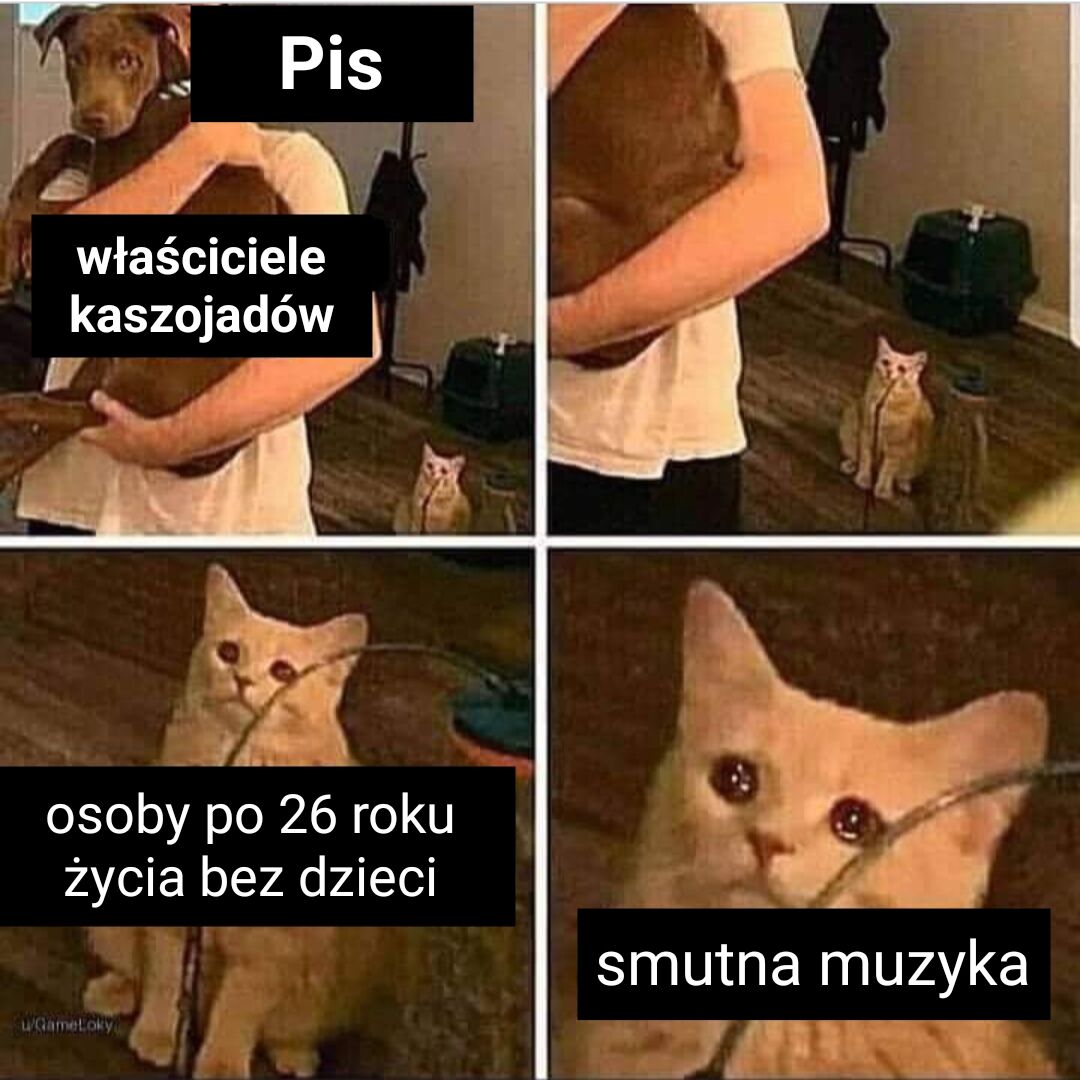 e66858c1-c43a-45ae-a35f-1537f59b6f96