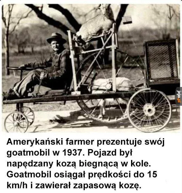 79216060-f4ab-434e-9099-cc51a08b54a0