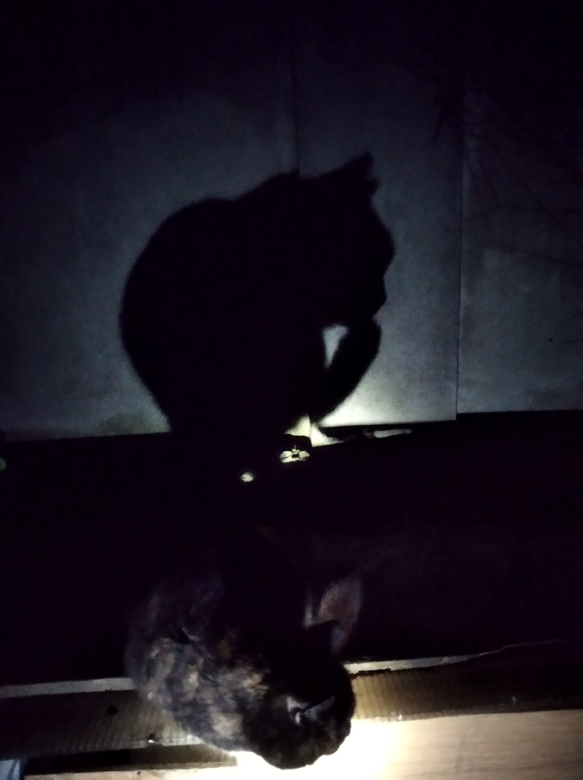 611a1a34-487c-4a18-b817-0a4cbcac9355