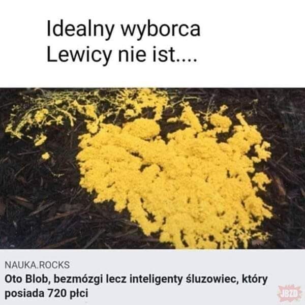 fb4436eb-a0ba-492b-bf78-26f8f0579d46