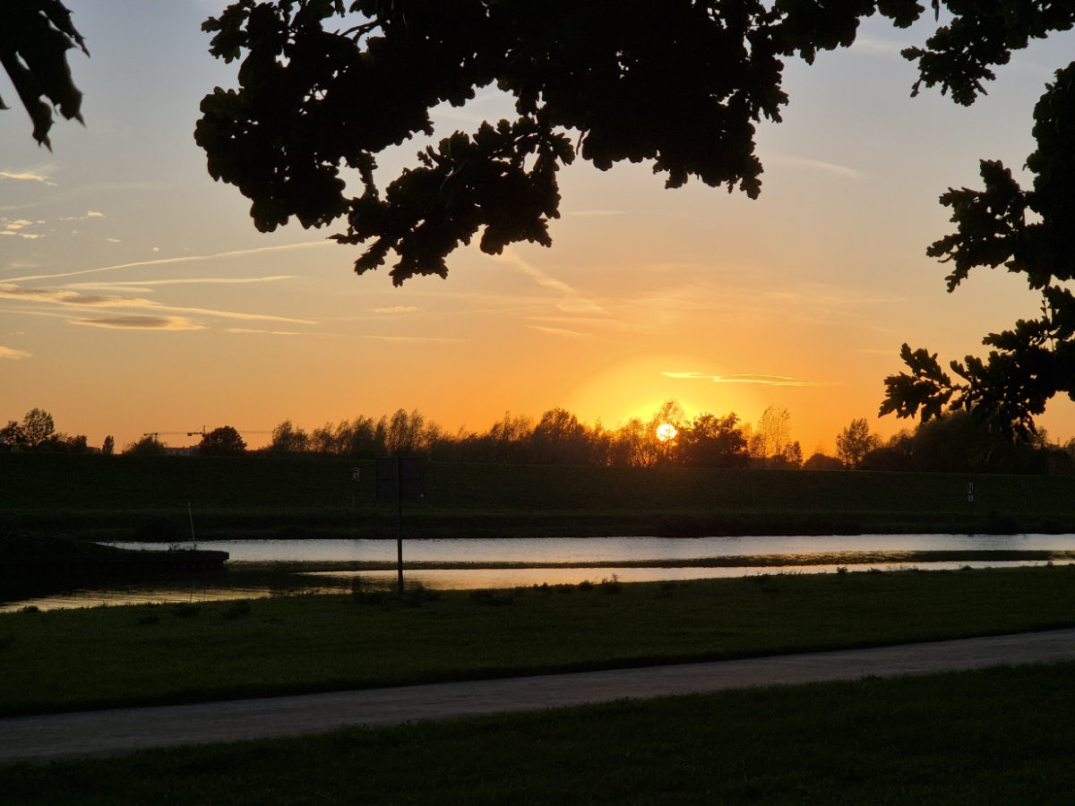 f196ed97-5103-42b7-95db-c3a1a1937dd7