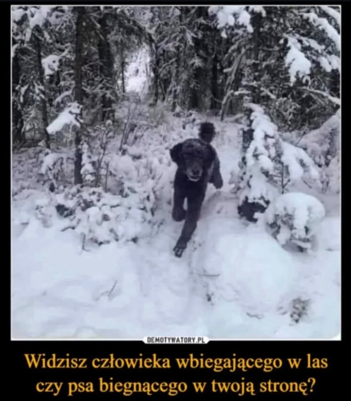 c5db2fb2-bc73-4dac-b894-52badc379c60