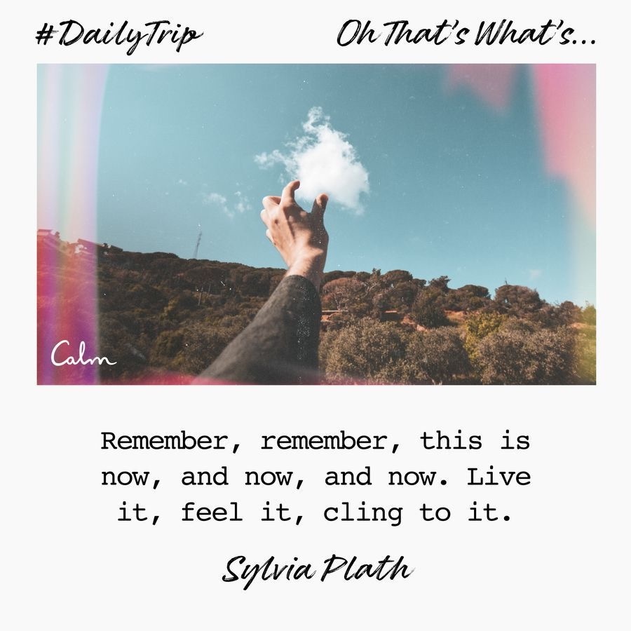 1aa96d47-ce6a-411c-aa6e-eb9c4d750b25