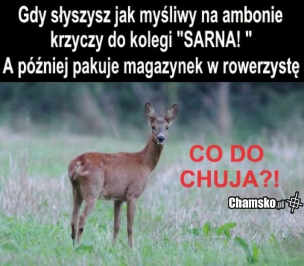 2833d93d-d0e3-4501-941f-b8fa69f19ab6