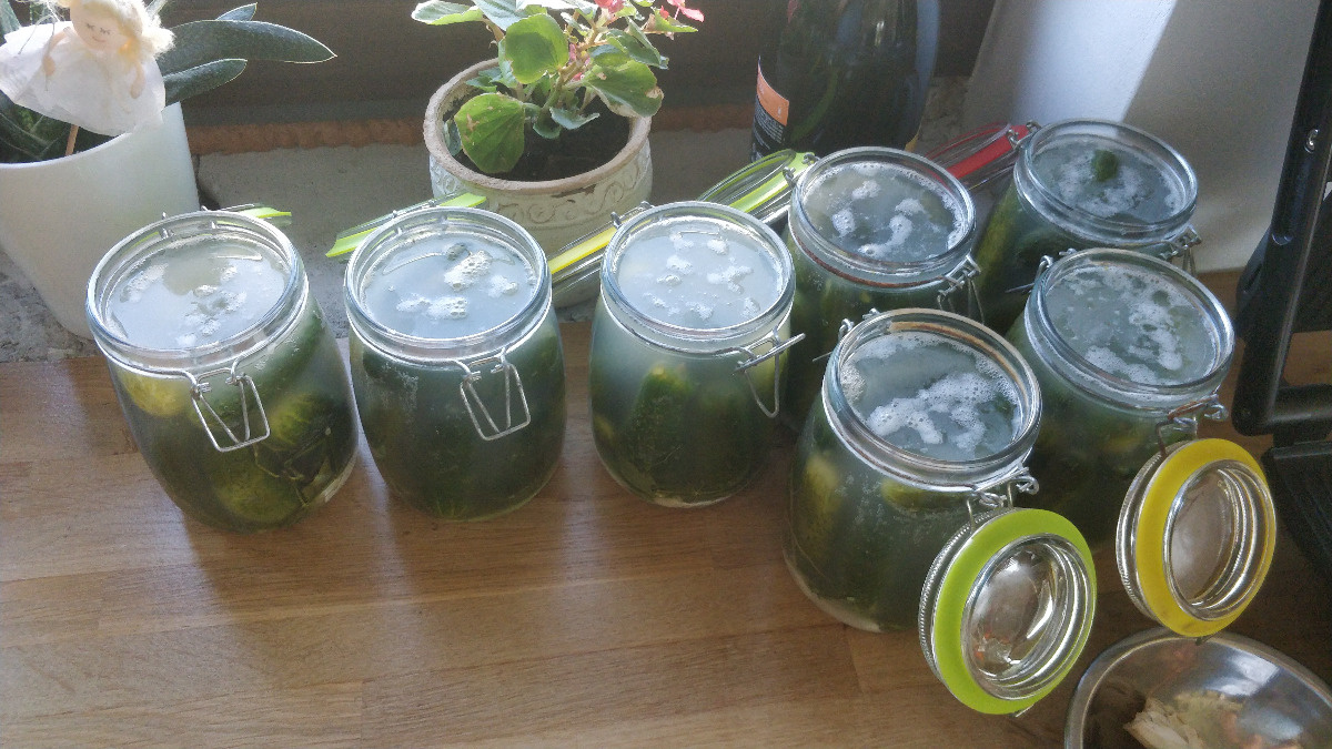 9afd9ef7-dbc4-4229-b1c5-6448c553bdb5