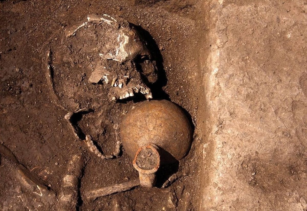 a6cf563c-8ddd-478e-b009-3d3771175825