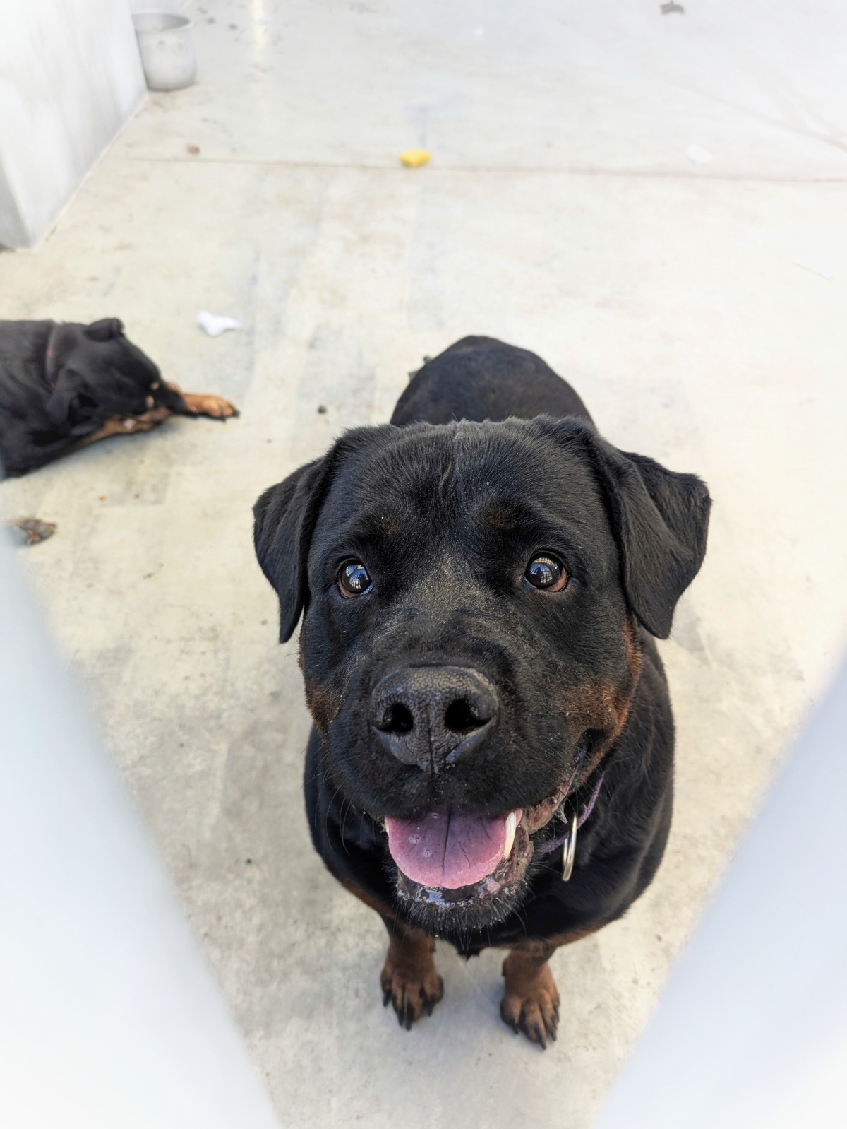 23bc3706-9aa1-48f2-a5d2-509563b27f4d