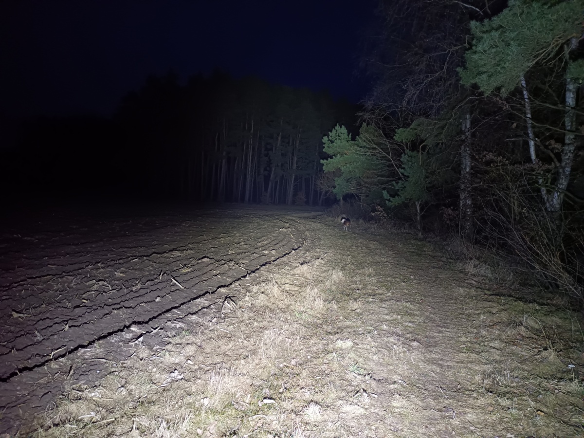 9f758d82-5215-4a86-ab88-0755af0f3bf7