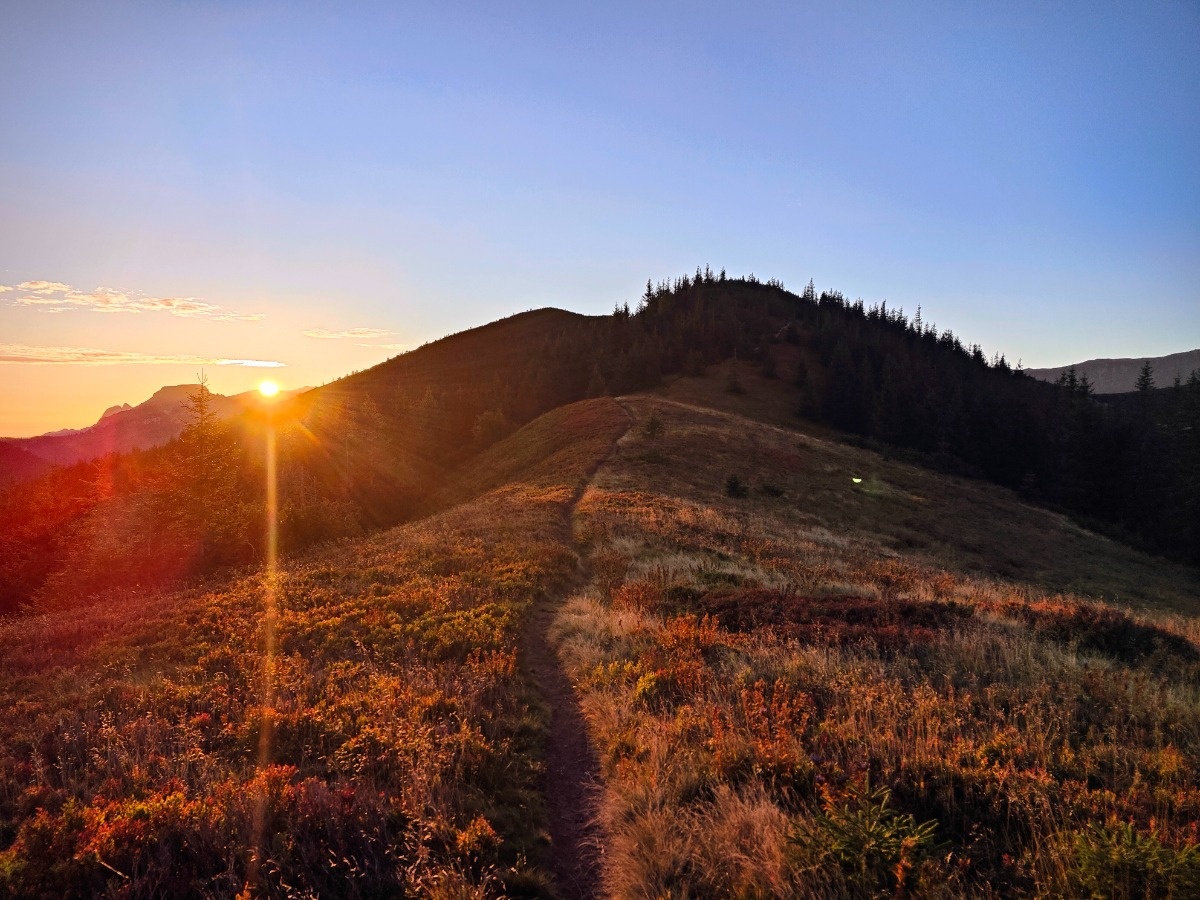 d749fa28-3387-46e8-bc43-2a422c3dd250