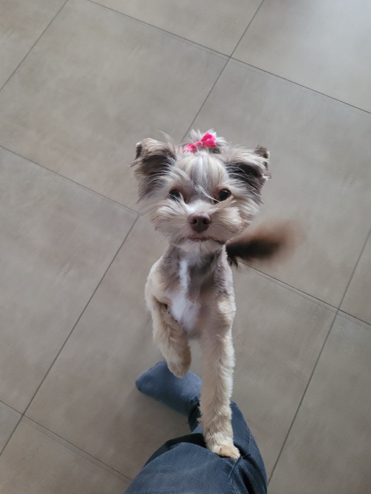 ce207d02-daf1-429c-a335-44f6dcbc35b3